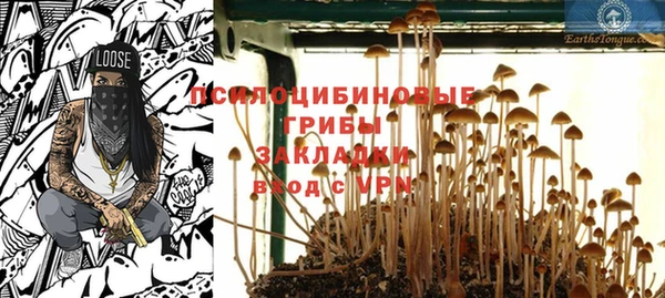 прущие грибы Белокуриха