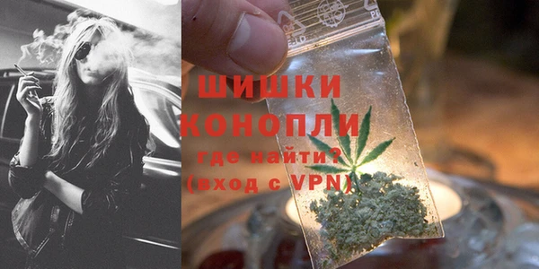 прущие грибы Белокуриха