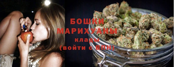 прущие грибы Белокуриха