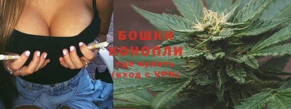 прущие грибы Белокуриха