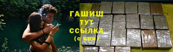 прущие грибы Белокуриха