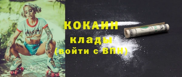 крисы Белоозёрский