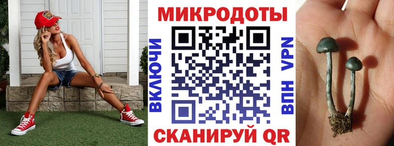 Псилоцибиновые грибы мицелий  Фатеж 